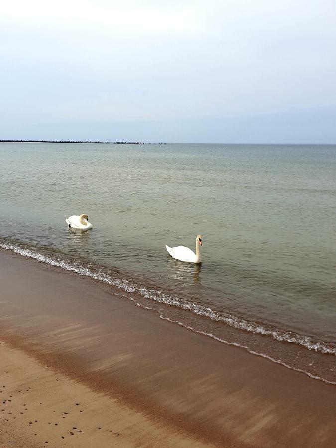 Palanga Apartments Near Baltic Sea מראה חיצוני תמונה