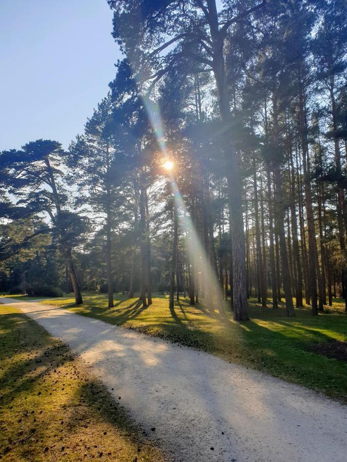Palanga Apartments Near Baltic Sea מראה חיצוני תמונה